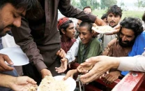 unchecked urbanisation increasing food insecurity risks unchecked urbanisation increasing food insecurity risks