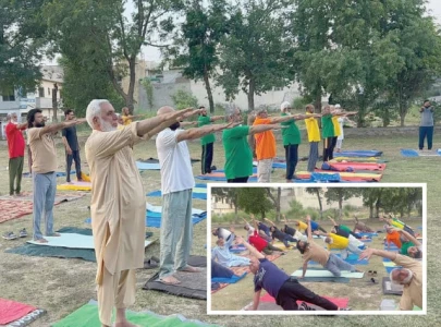 ancient taxila inspires modern wellness movement