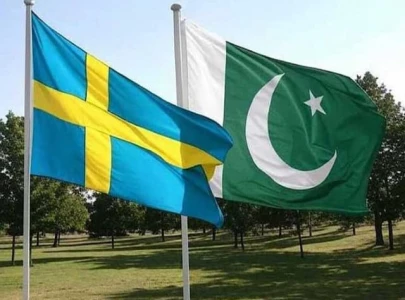 govt to probe termination of bit with sweden