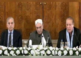 apc on palestine solidarity day condemns israeli agression apc on palestine solidarity day condemns israeli agression