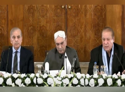 apc on palestine solidarity day condemns israeli agression