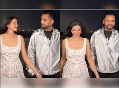 is natasa stankovic dating youtuber elvish yadav after split from hardik pandya