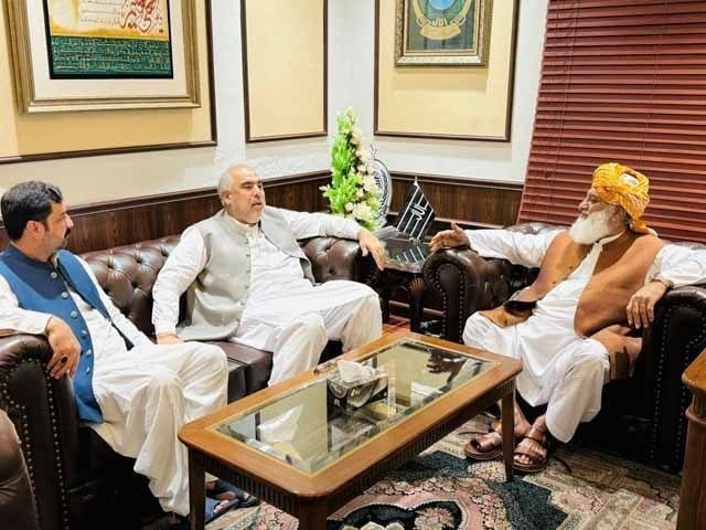 jui f chief maulana fazlur rehman and pti leader asad qaiser in a meeting photo express