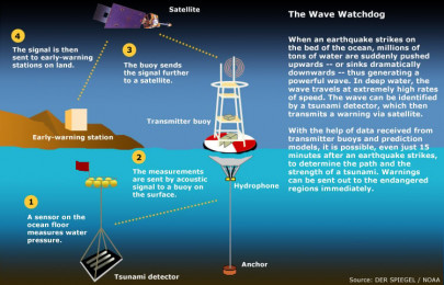 disaster forecast effective strategy to deal with calamities urged