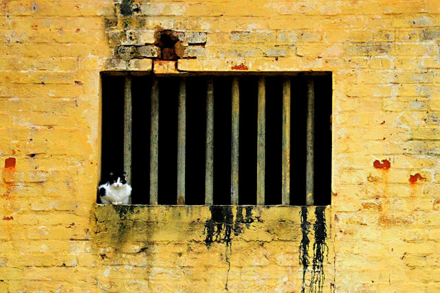 state of prisons 3 is a crowd in cells for 1 state of prisons 3 is a crowd in cells for 1