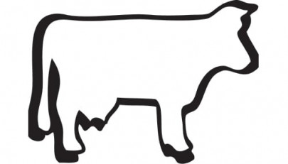 disputed land town and jail lock horns over cattle market