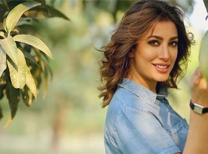 mehwish hayat gives a lesson on muslim misrepresentation in hollywood bollywood