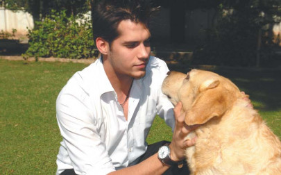 pet keeping doggie dos and don ts pet keeping doggie dos and don ts