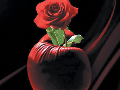 karachi the musical   fight night