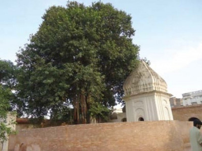 minorities rights goraknath temple reopens after 60 years in peshawar minorities rights goraknath temple reopens after 60 years in peshawar