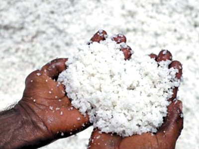 offbeat table salt equals terabytes offbeat table salt equals terabytes