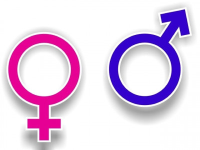 symposium exploring masculinity   for gender equality and justice