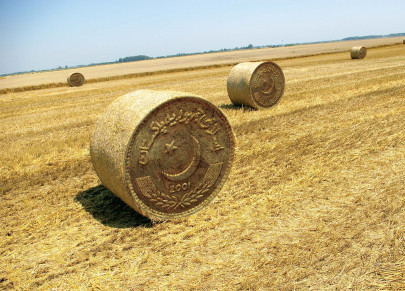 agriculture investments the smart money is betting on the pakistani farm agriculture investments the smart money is betting on the pakistani farm