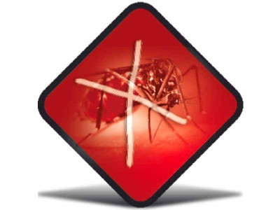 dengue training for private practitioners from oct 26 dengue training for private practitioners from oct 26