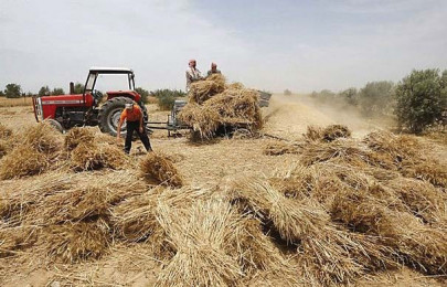 exchange to launch wheat futures contract