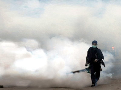 punjab releases cash to foot dengue fight bill punjab releases cash to foot dengue fight bill