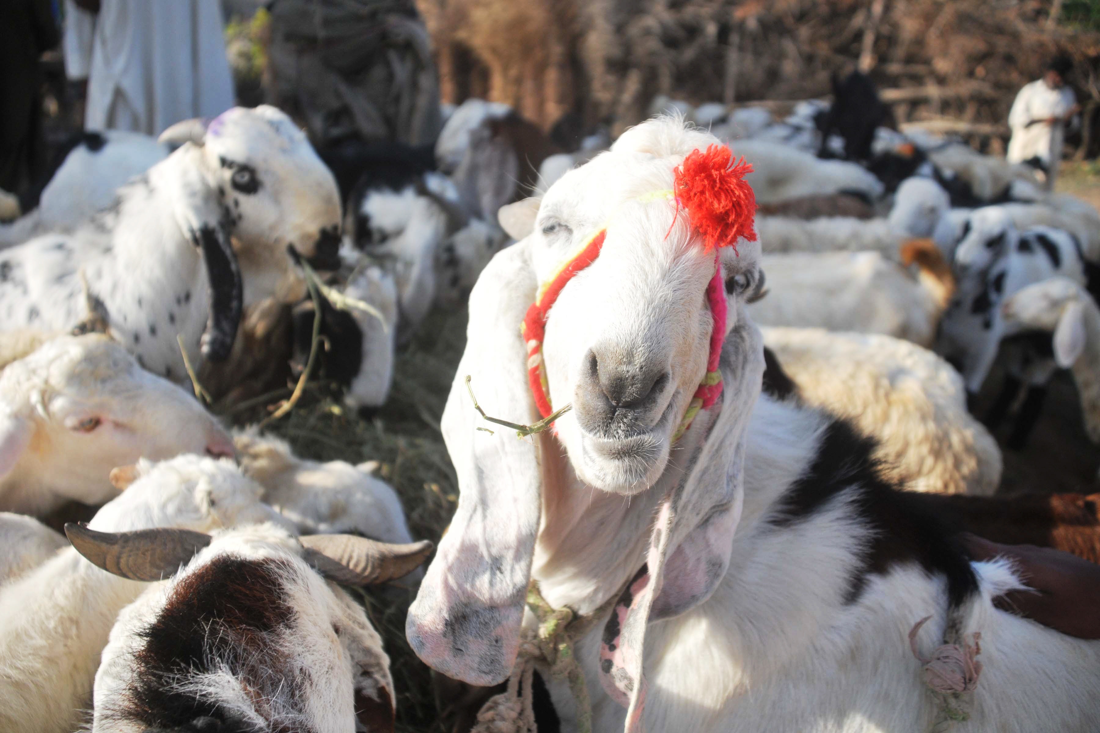 Updated Oct 26, 2011