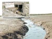 karachi s coastal communities face an environmental disaster as untreated waste and polluted water from industries and buffalo pens flow into the sea devastating marine life and threatening the livelihoods of fishermen photos express