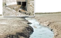 toxic water industrial waste threaten fishing industry toxic water industrial waste threaten fishing industry