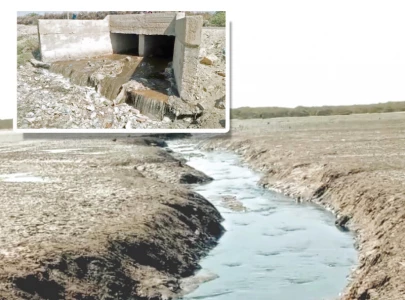 toxic water industrial waste threaten fishing industry