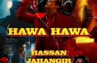 from criticism to classic the untold story of hawa hawa
