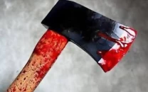 woman axed to death by husband woman axed to death by husband