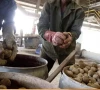 food official faces embezzlement probe