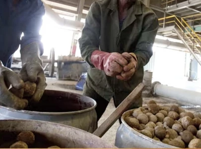 food official faces embezzlement probe