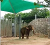 water shade for zoo animals ordered