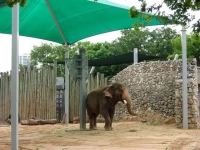 water shade for zoo animals ordered