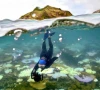 australia welcomes unesco decision australia welcomes unesco decision