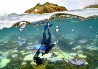 australia welcomes unesco decision australia welcomes unesco decision