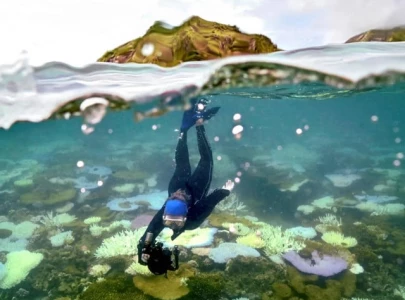 australia welcomes unesco decision