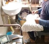phc seals 646 illegal treatment centres phc seals 646 illegal treatment centres