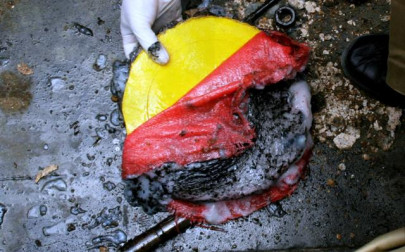 four months on icrc awaits headway in amateur bomb blast case four months on icrc awaits headway in amateur bomb blast case