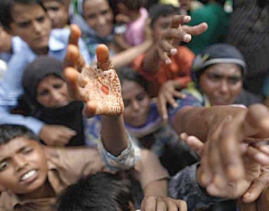 food agency awaits govt s wheat donation food agency awaits govt s wheat donation