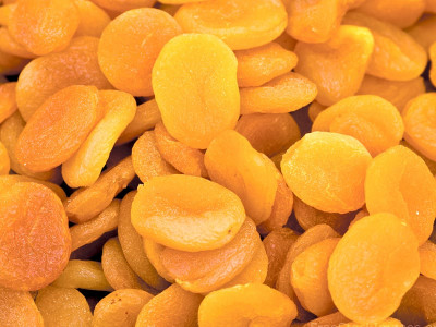 solar panels sunny apricots in skardu solar panels sunny apricots in skardu