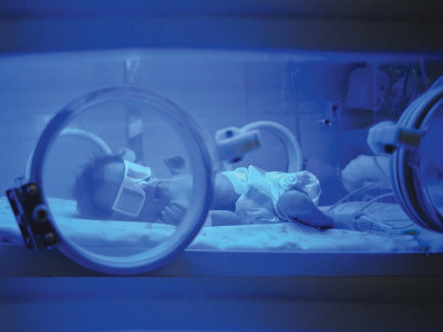 is a lack of family planning the cause of many socio economic terrorist evils in pakistan is a lack of family planning the cause of many socio economic terrorist evils in pakistan