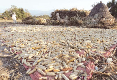 plea for help in a region that depends heavily on agriculture land that can grow no crops