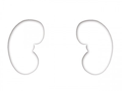 free treatment kidney transplant dialysis centre planned for sialkot free treatment kidney transplant dialysis centre planned for sialkot