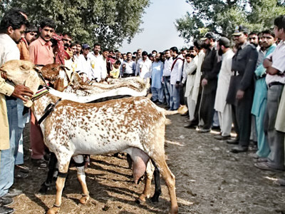 sacrifice season sharing is caring when it comes to sacrifice sacrifice season sharing is caring when it comes to sacrifice