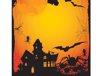 halloween celebrations no militants involved in peshawar s night of horror