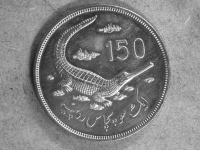 from clay seals to cashless economy from clay seals to cashless economy