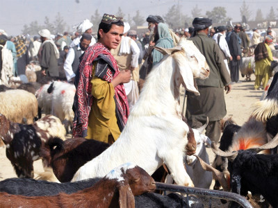 eid charity no permissions for hide collection granted yet eid charity no permissions for hide collection granted yet