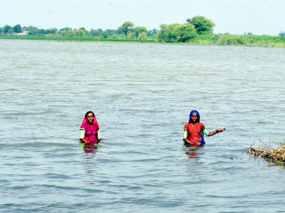 report paints gloomy future for flood victims unless government intervenes