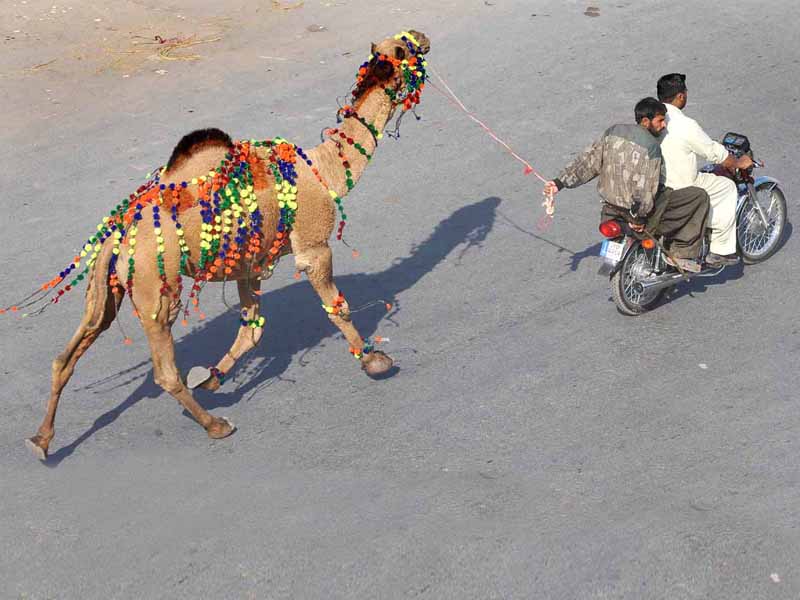 Updated Nov 07, 2011