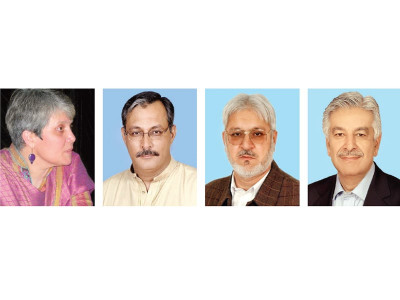 implementing apc decisions ppp delays nominations for implementation committee