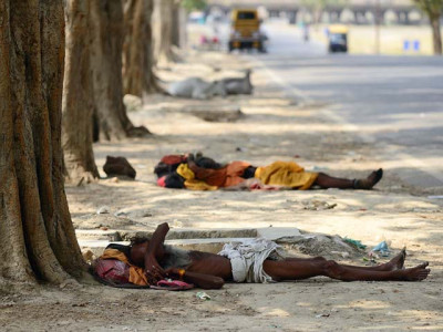 dear karachiites before you plant trees think dear karachiites before you plant trees think