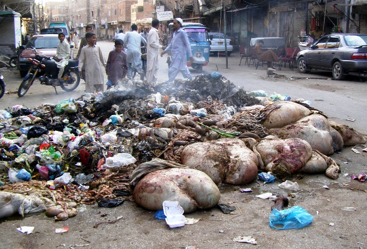 waste management sanitary workers pass eidul azha test