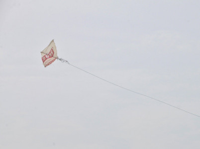 kite string slits throat of sole bread earner of family